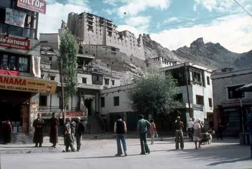 TREKKING IN LADAKH | CHANGTANG 2017